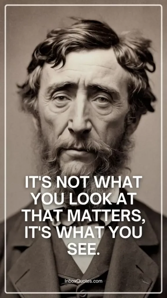 It's not what you look at that matters, it's what you see